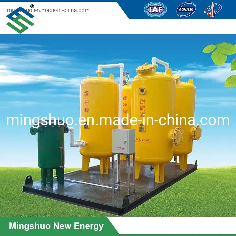 Dry Desulfurization System for Biogas Purification