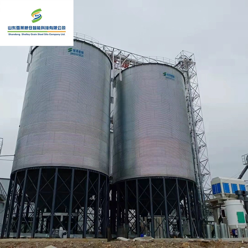 300t Paddy Rice Silo Galvanized Corrugated Steel Silo for Paddy Rice