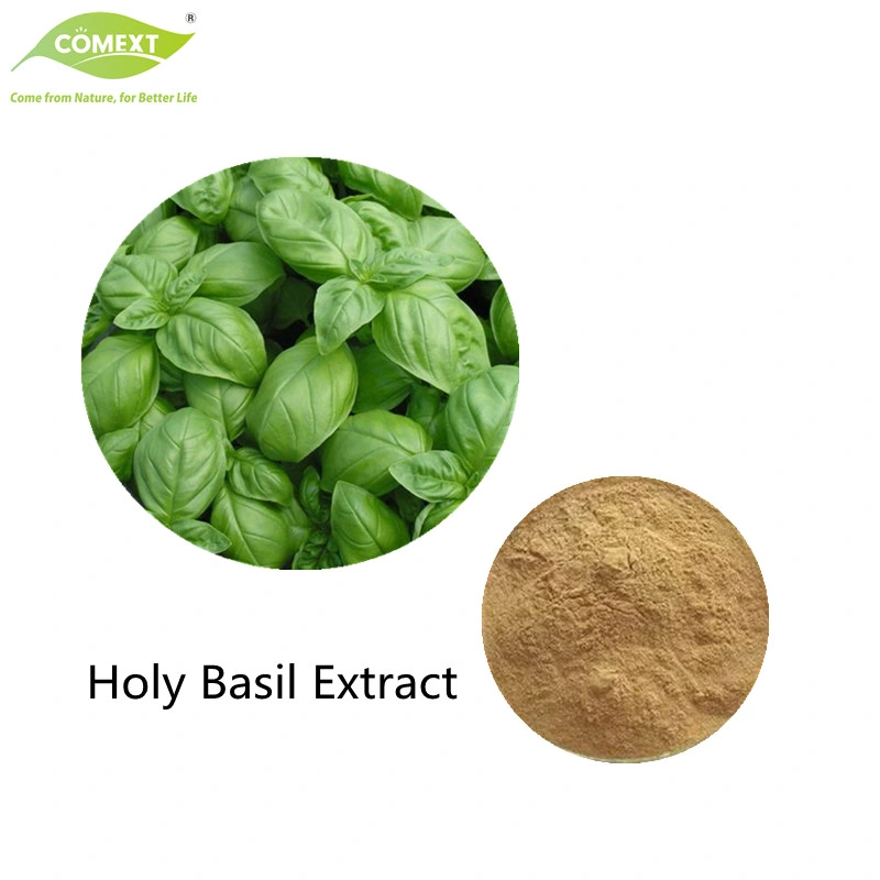 COMEXT Factory 100% Natural Basil Root Extract 4: 1; 10: 1; 20: 1 10% танины для применения в медицине