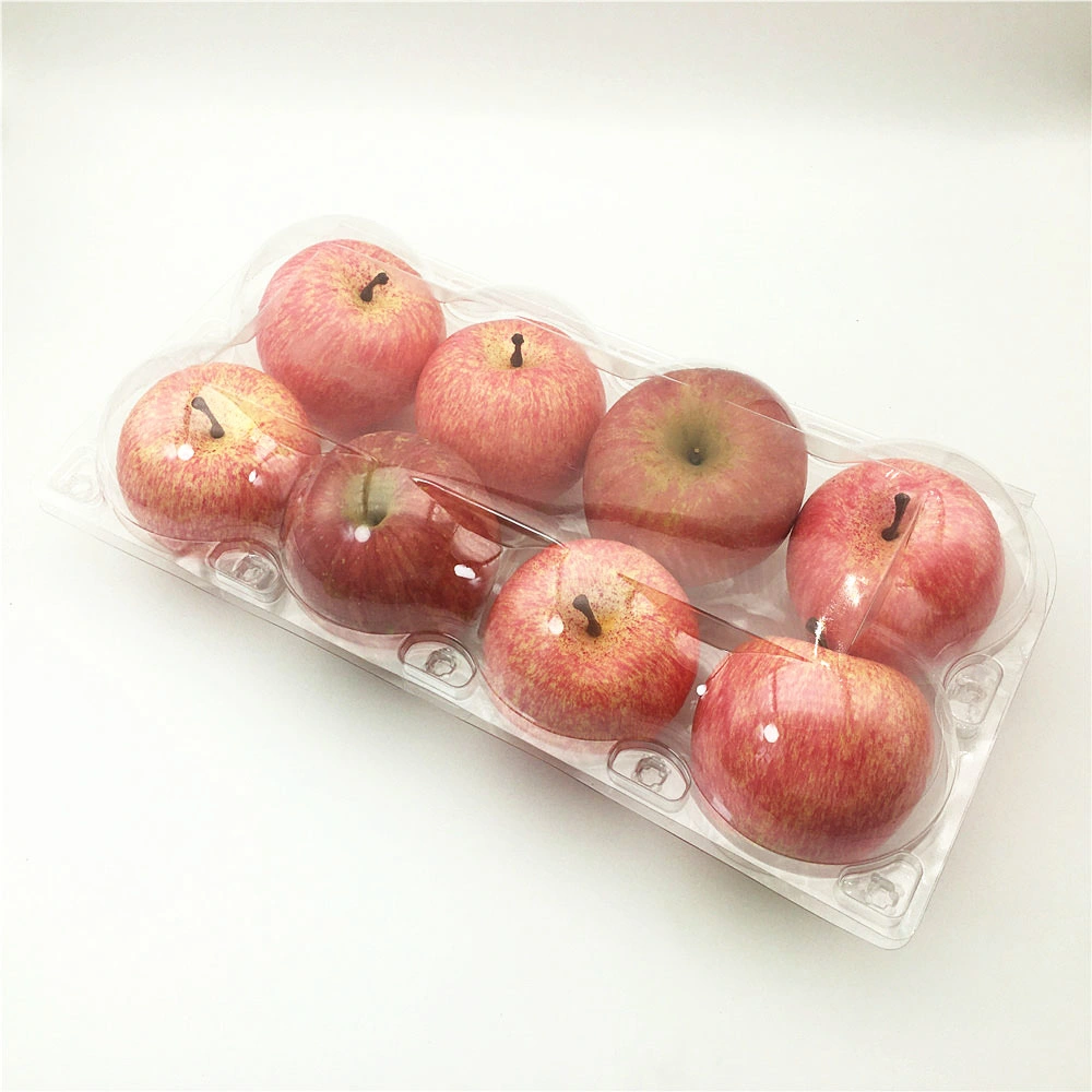 Plastic Pet Food Container Clear Fruit Packaging