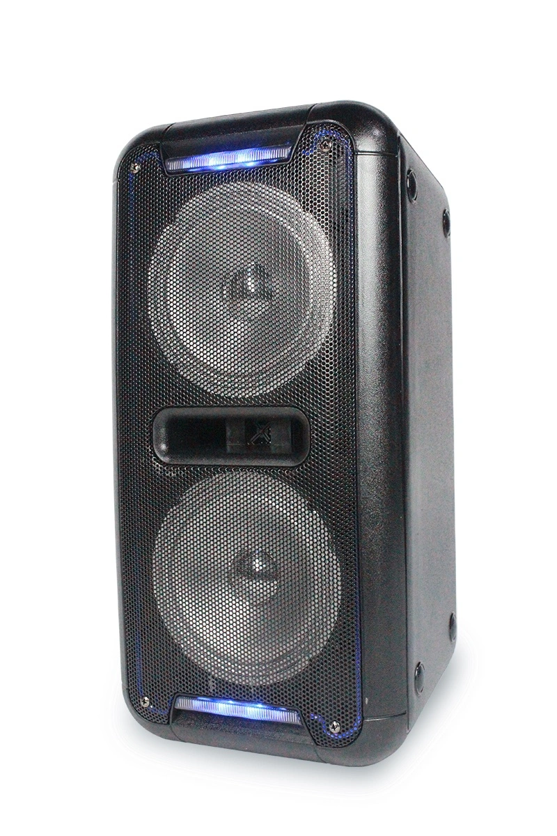 Double 12 Inch Professional Audio DJ Karaoke Sound Box Bluetooth FM Radio Trolley Speaker