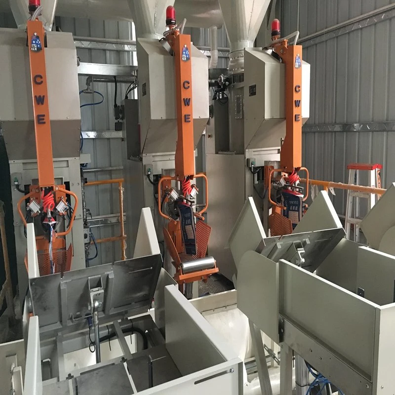 Automatic Packaging machinery in Multi-Function Packing Machine for Granule