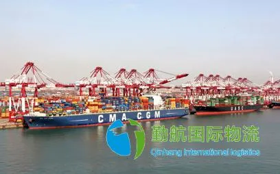 Best Freight Forwarder Door to Door Shipping Agents Sea Shipping Ocean Freight From China to Canada /Egypt