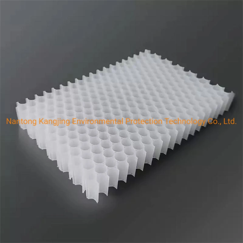 Custom Thicknesses Plastic Polypropylene Honeycomb Material