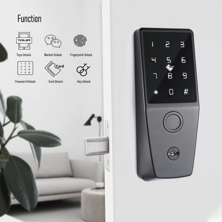 Digital Intelligent Deadbolt/ Smart Lock con huella dactilar y teclado mecánico Disponible