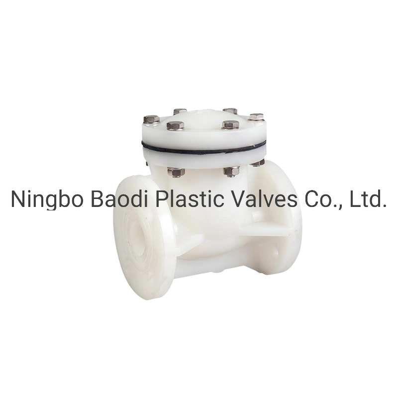 PVDF Check Valve, Swing Type