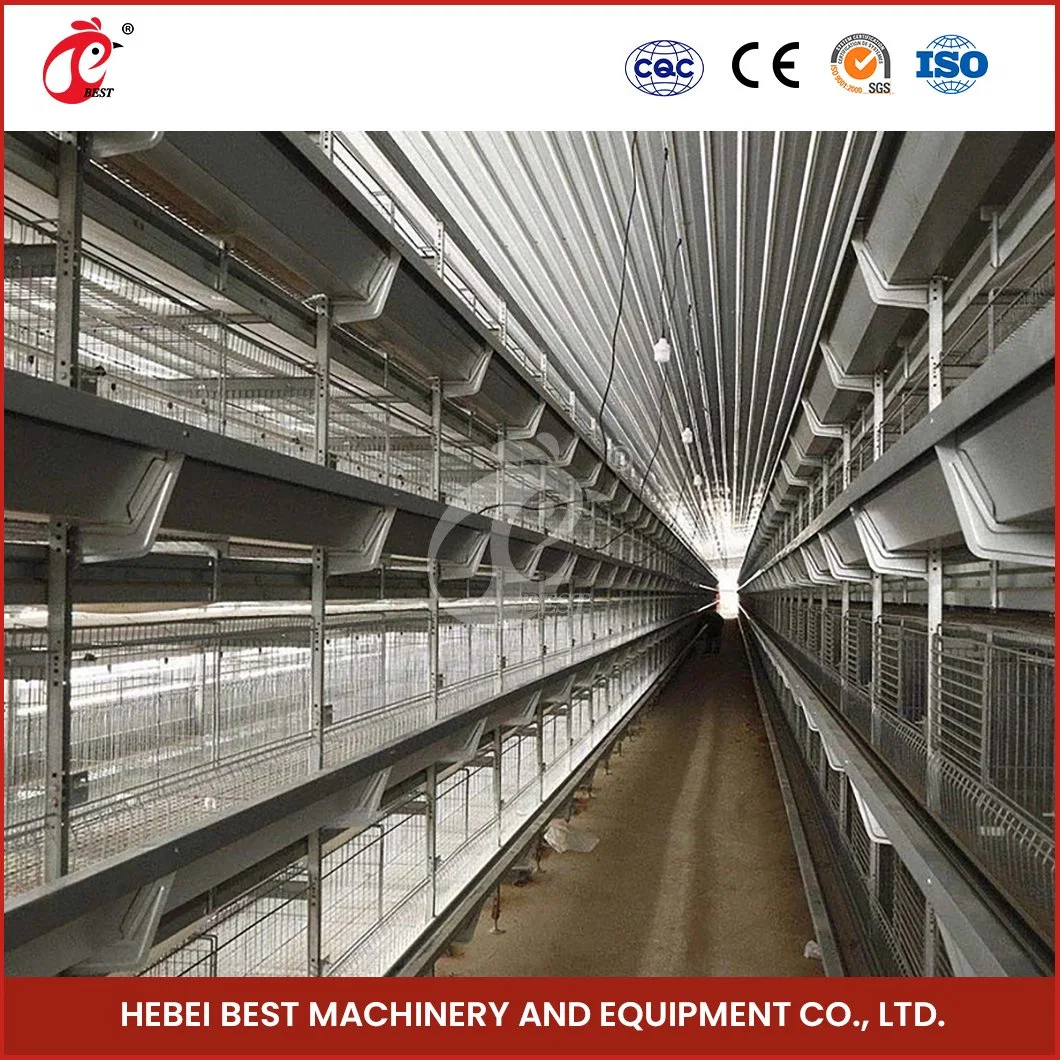 Bestchickencage China Pollo rústico fábrica de coop H Marco de caldera automática Jaulas libre muestra duradera y lavable Chicken Coop House