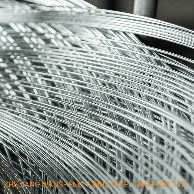 2.5mm 3.0mm High quality/High cost performance  Low Carbon Galvanized Steel Wire for Nail Making