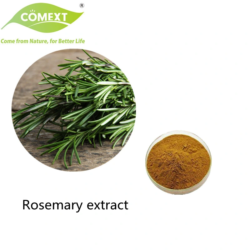 Comext China Manufacturer Wholesale/Supplier Food Grade Natural Plant Herb Extract Carnosic Acid Powder Inventory USA Warehouse Rosemary Extract