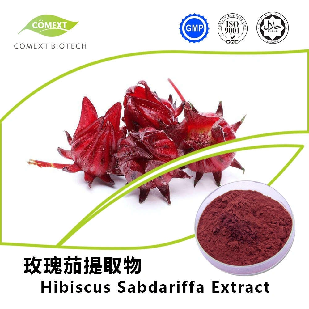 Comext China Manufacturer Free Sample Antioxidant 5% 10% 20% Anthocyanidins Powder 10: 1 Food Color Purple Red Powder Roselle Hibiscus Sabdariffa Flower Extract