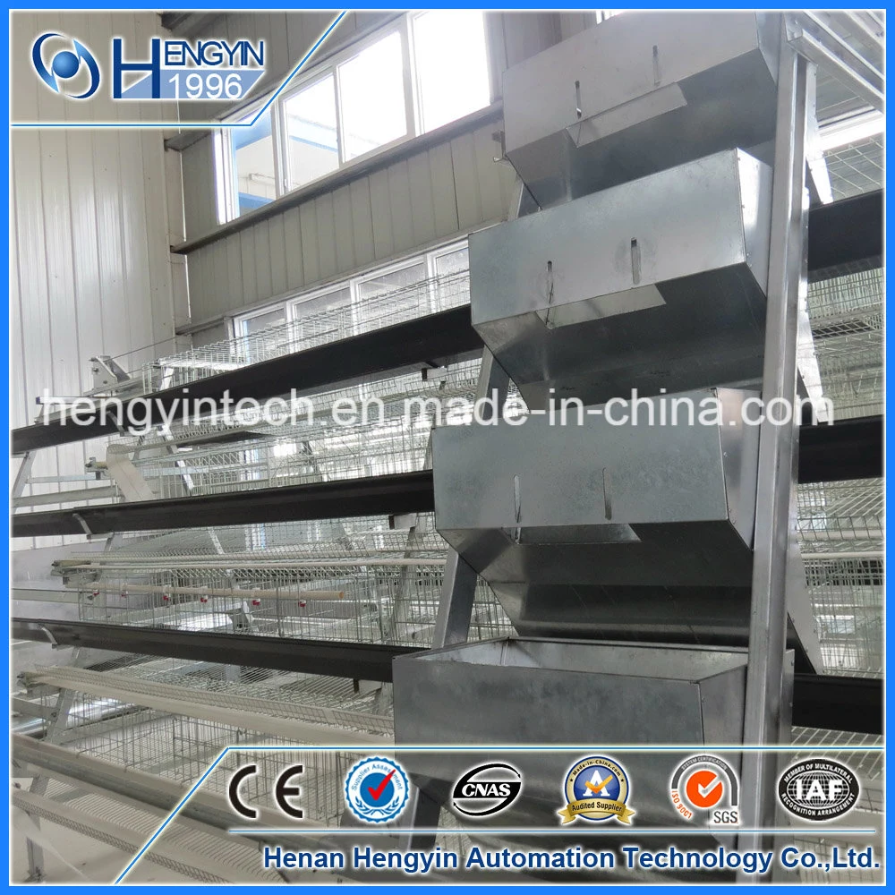 Automatic Feeding System Poultry Farm Layer Chicken Cage for Sale