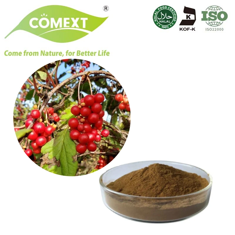 Comext Hot Sale Herb Frutas hígado proteger extracto de Schisandrae chinensis