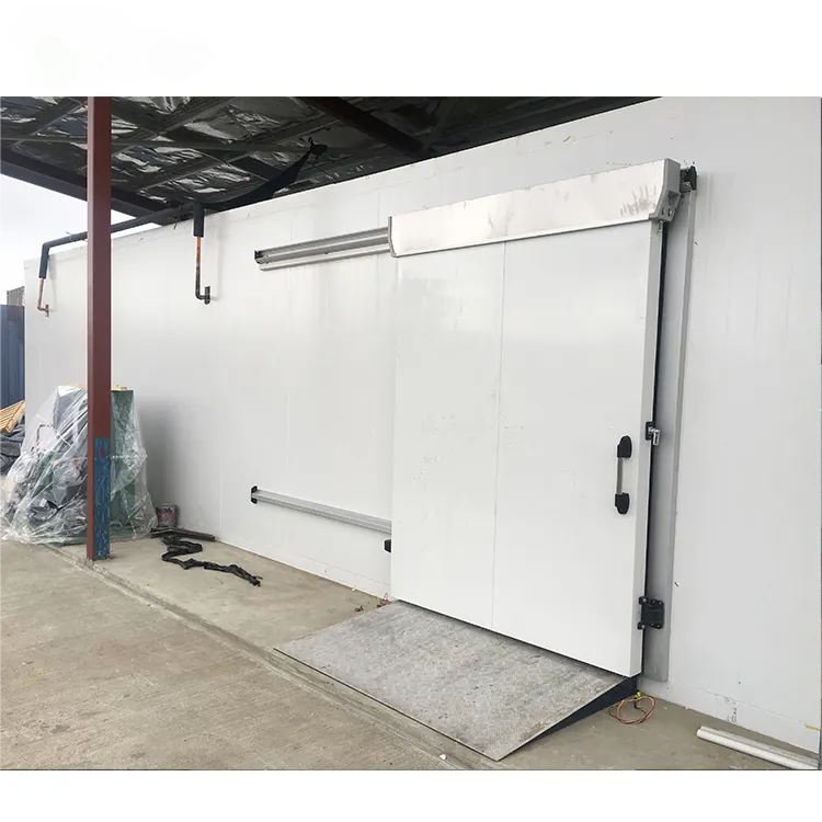 6m x 3m x 3m -25'c cuarto frío 3pH 380V 50Hz Blaster congelador para carnes y mariscos