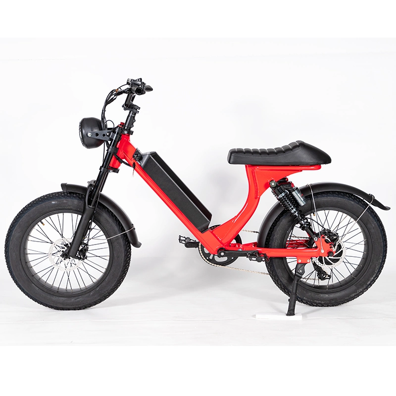 Leo Adopts CE Certified Electric Bike with Fat Tires Customized for Men and Women