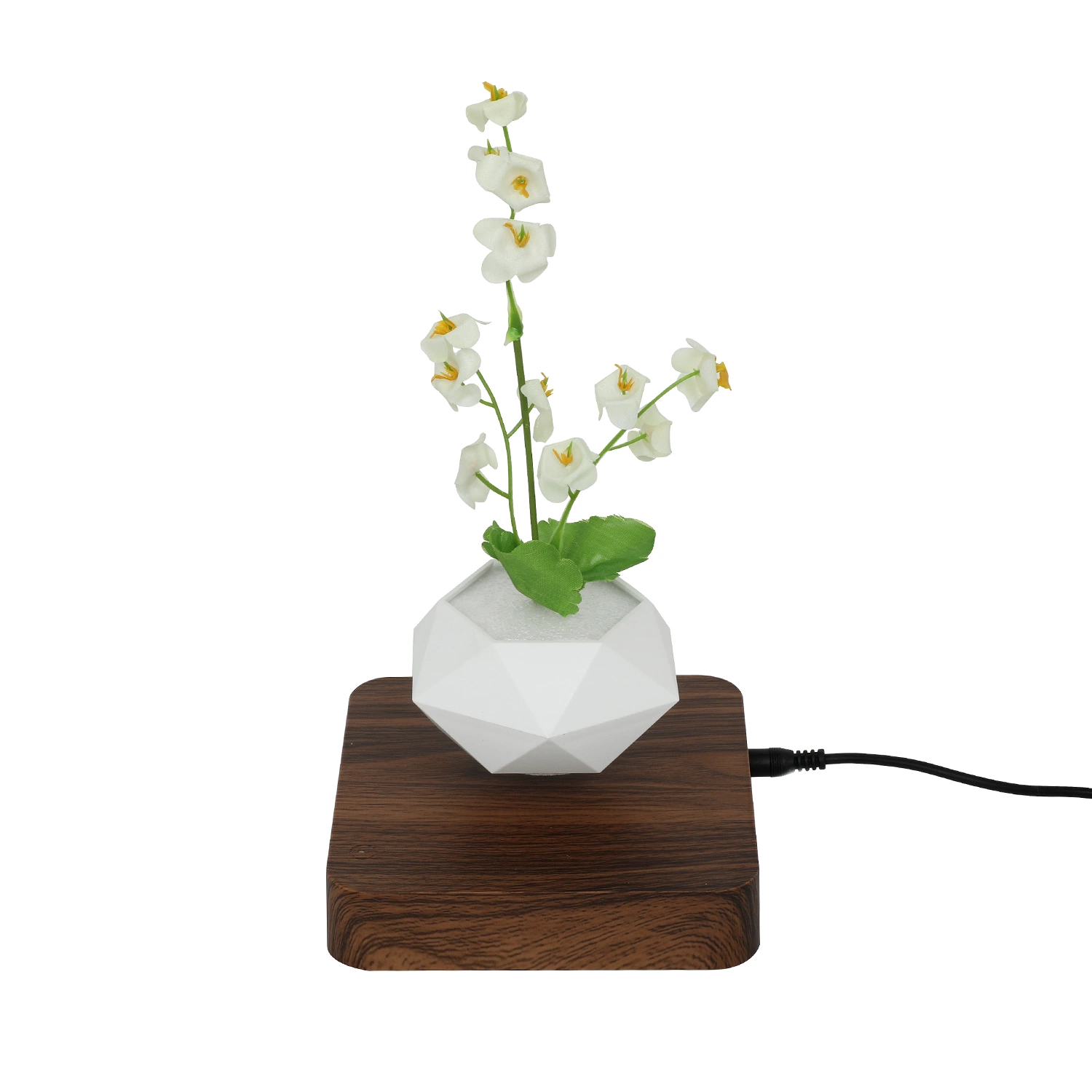 Rotación de 360 Flores de levitación magnética la maceta de Bonsai decoración regalo