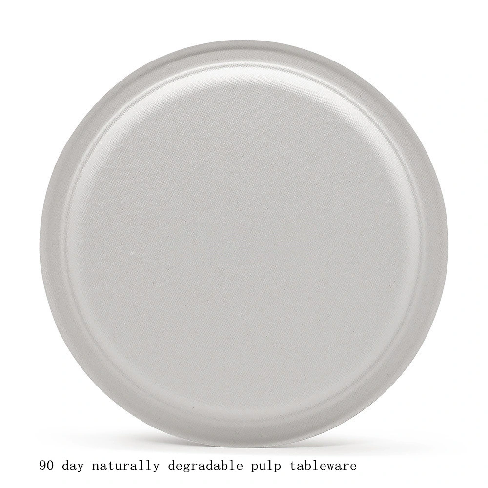 Factory Custom Multi - Specification Round Bagasse Tableware for Food Packaging