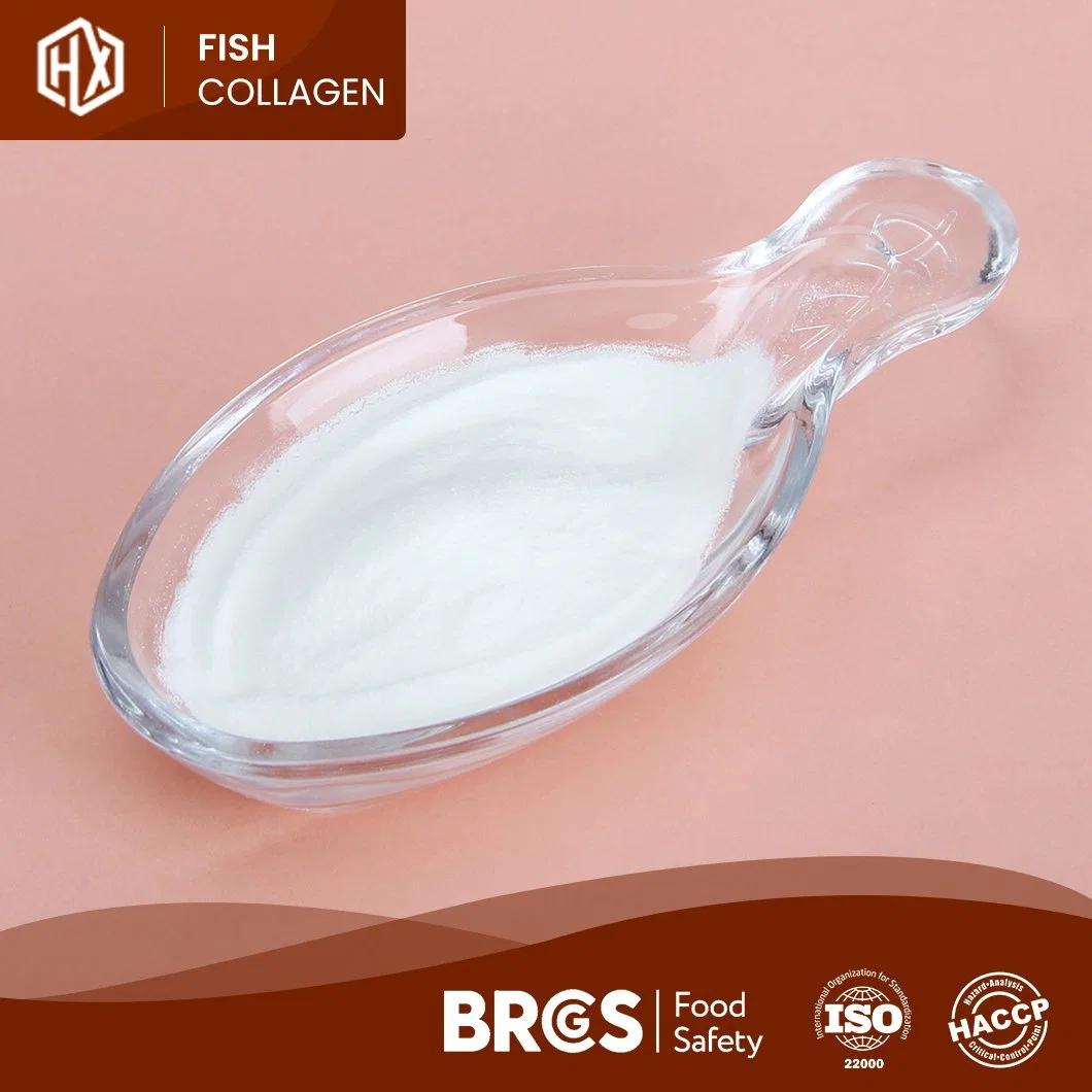 Haoxiang China Fabricante suministro de mejor pescado colágeno péptidos polvo de Escala de pescado de Tilapia fresca Salud y Belleza personalizada escala marina Polvo de colágeno