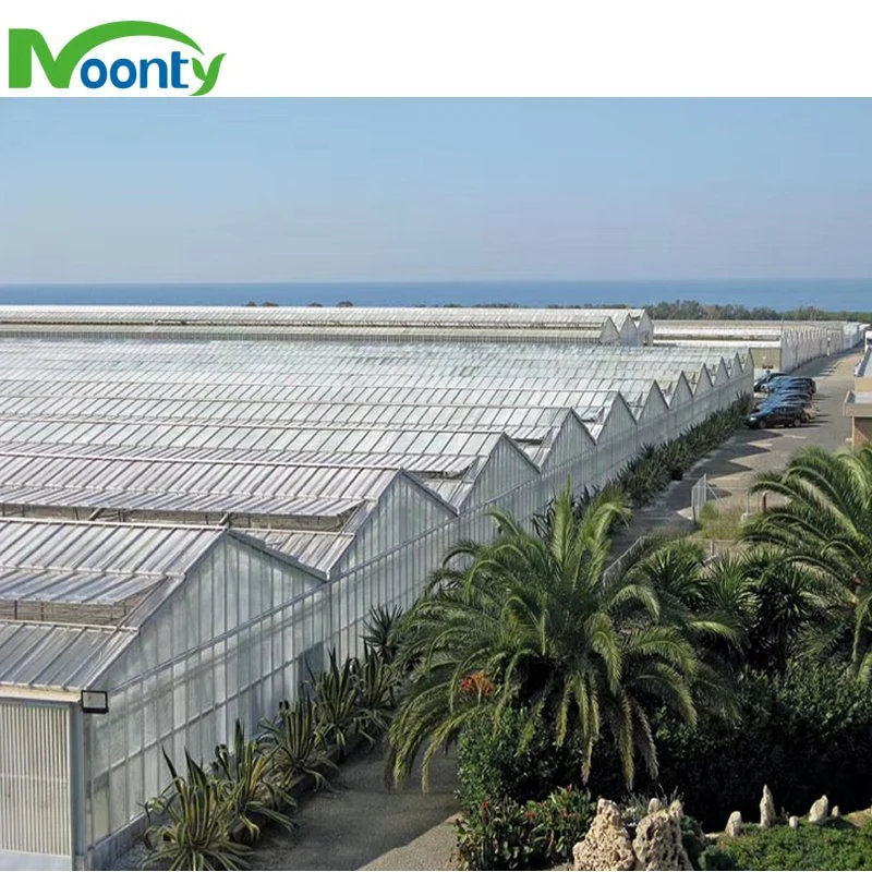 Venlo Type Polycarbonate/Glass Multispans Greenhouse with Hydro System