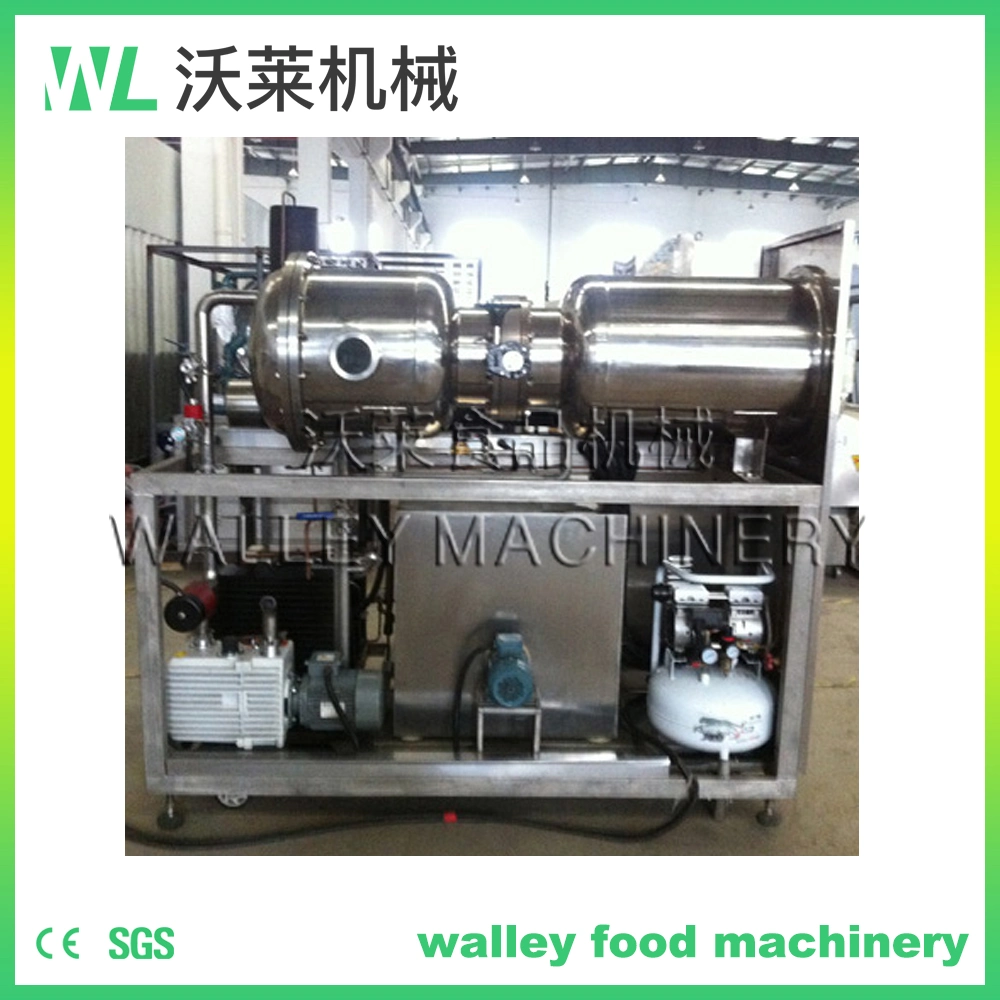 China Carrot Potato Pumpkin Vacuum Freeze Dryer