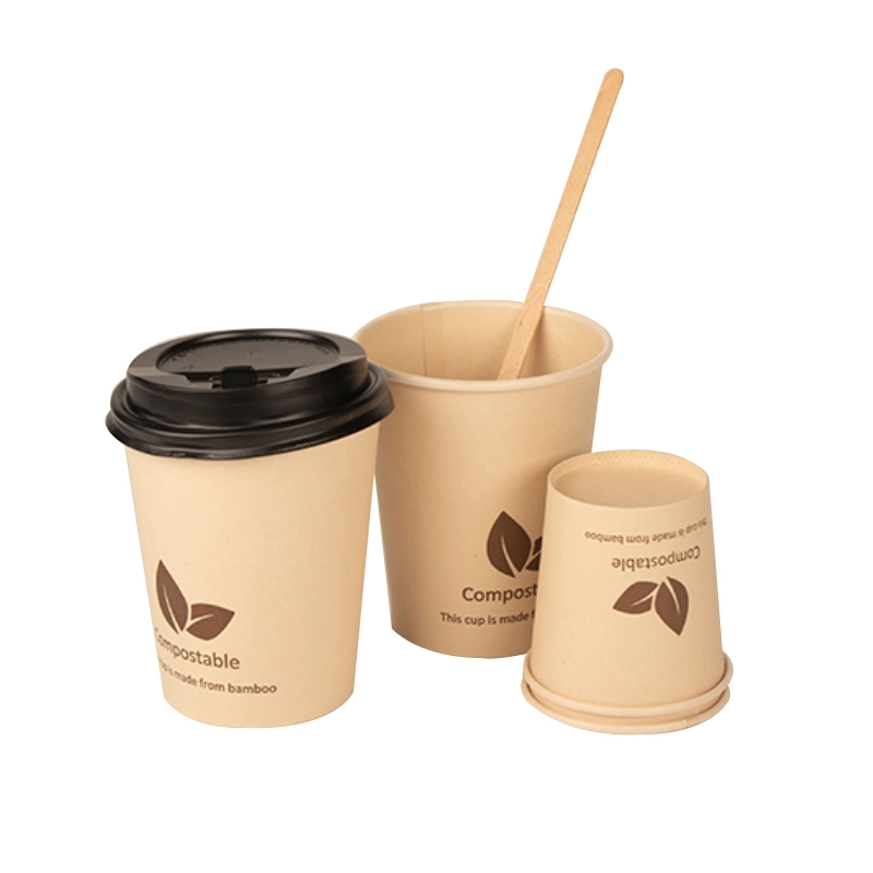 Customized Printing 8oz 12oz 16oz Disposable Double Wall Coffee Paper Cup with Lid