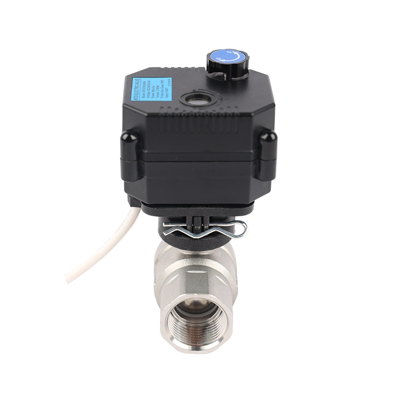 2 Way Mini Smart Quick Install Electric SS304 Valves AC 220V Motor Operating Ball Valve Motorized Water Flow Stainless Steel Ball Valve