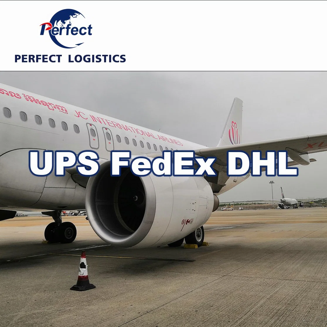 Door to Door Services Air Sea Freight Forwarder China Shipping Agent to USA