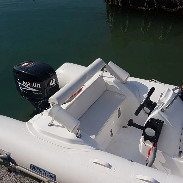 F40FES-T-EFI 40HP EFI Engine Boat Outboard