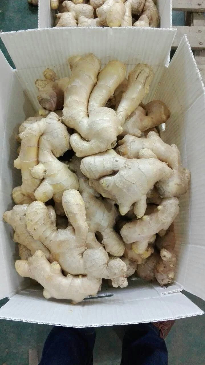 Laiwumanhing Fresh Ginger Air Dry Ginger