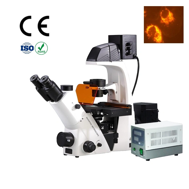 Microscopio de fluorescencia profesional de Laboratorio biológico utilizado en investigación científica BDS Serie