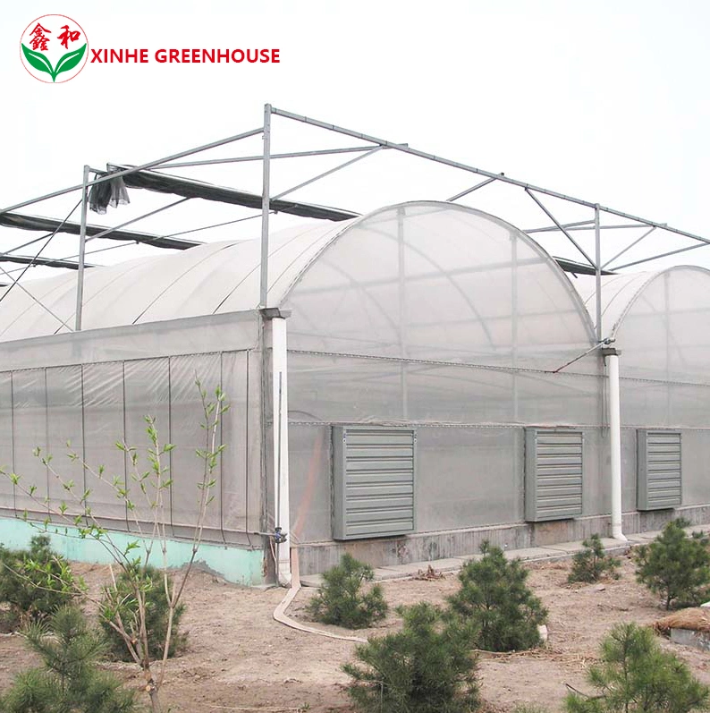 Flores frutas vegetales comerciales sistemas hidropónicos para invernaderos Aeroponics System Multi Span de gases de efecto