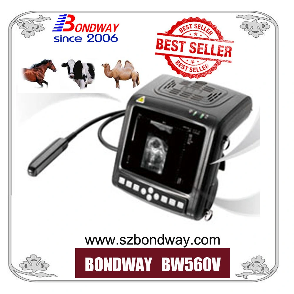 Veterinary Ultrasound Instrument with Probes, Diagnostic Ultrasonic Imaging, Ecography, Veterinary Medical Products