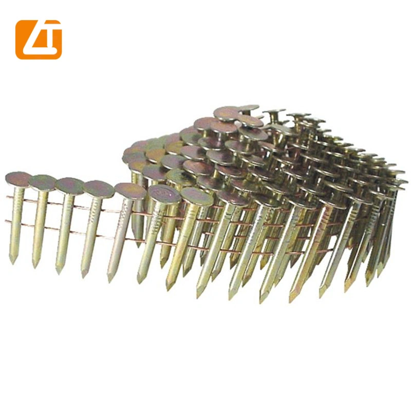 15 Degree 2 ''x. 099'' Pneumatic Galvanized Pallet Roofing Common Coil Nails/Clavo