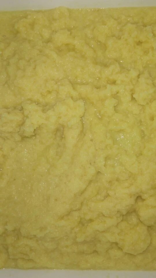 2,5Kg congelados de gengibre em cubos /Congelados Puré de gengibre