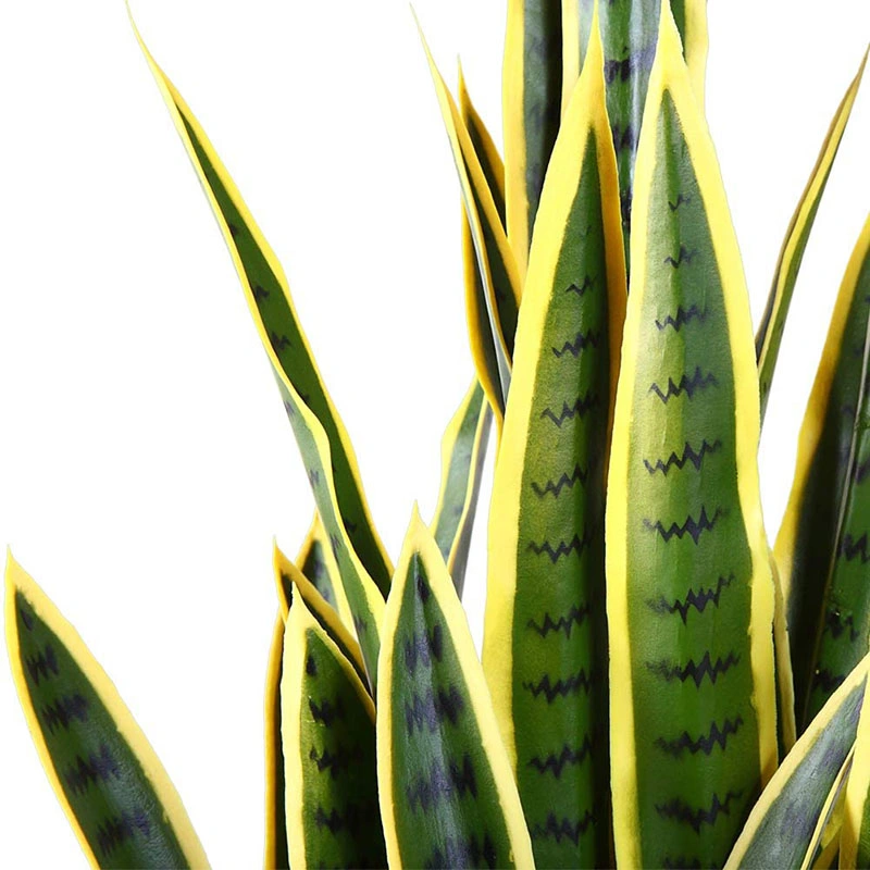 Fast Natural 35 Zoll Sansevieria Künstliche Seidenpflanzen, Gelb