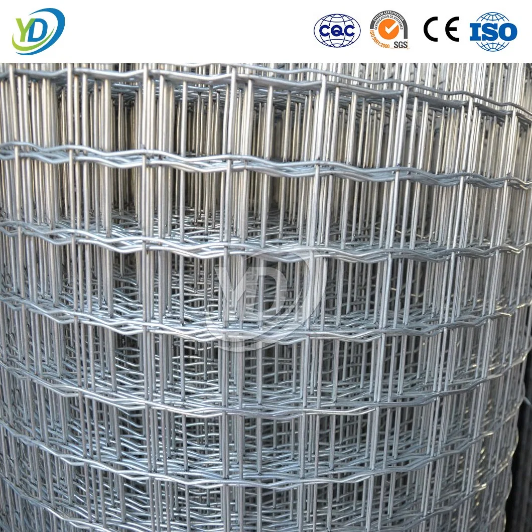 Yeead Welded Wire Mesh Dutch China Suppliers Holland Garden Fencing 50.8 X 101.6mm Mesh Holland Corrugated Wire Mesh