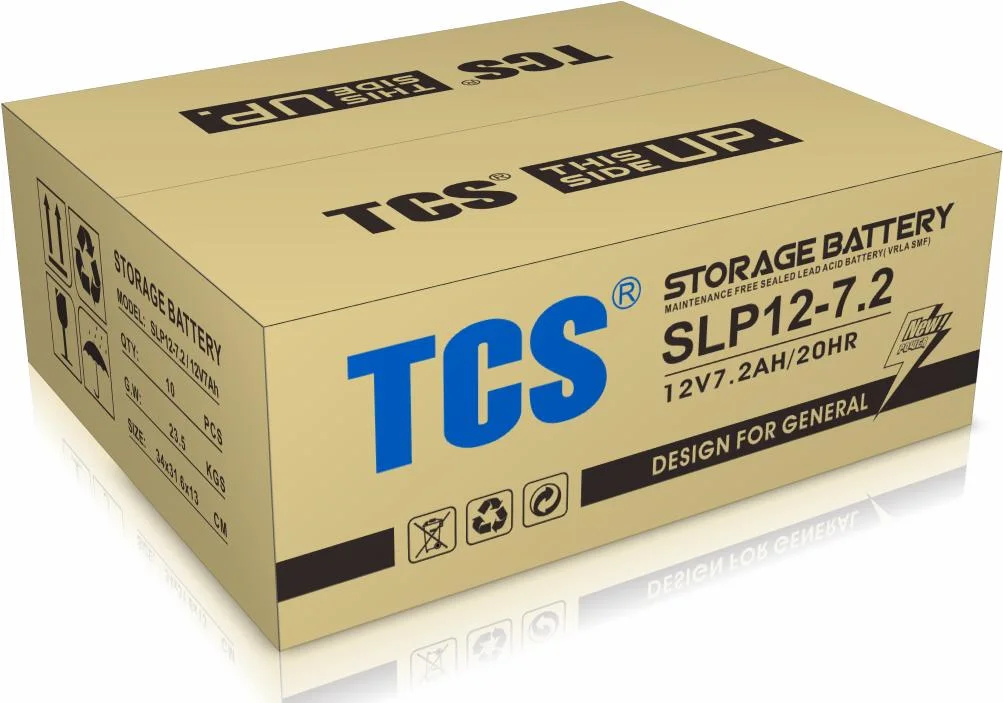 TCS Small Size Storage Battery SL12-10H