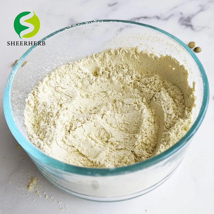 Comercio al por mayor de comida vegetariana vegetariano Pea Protein Powder Proteína de guisante orgánicos aislar