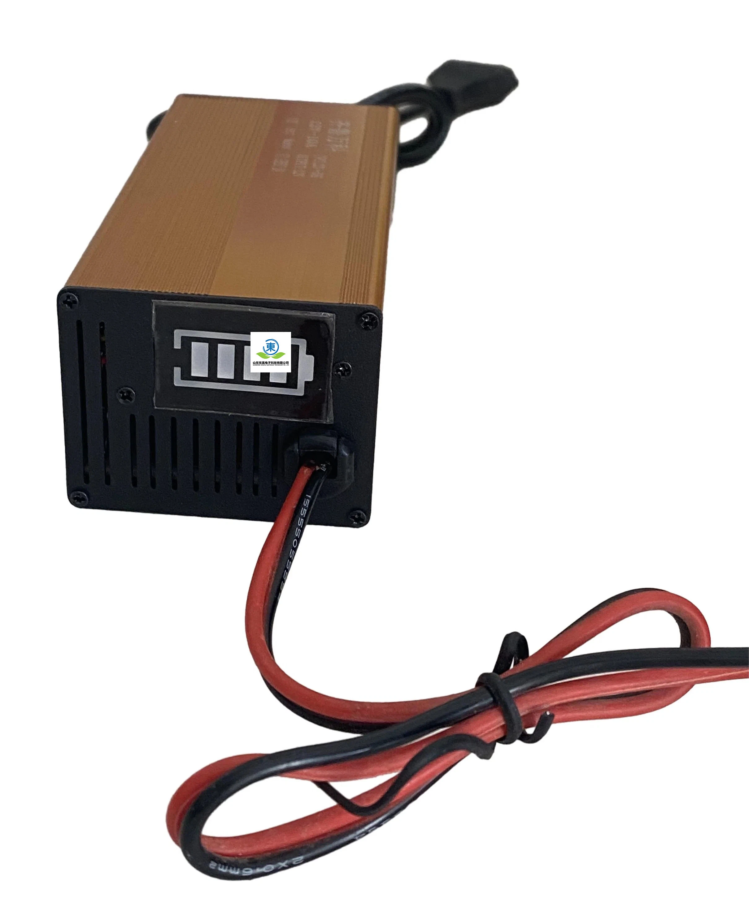 Cargador de batería de ion-litio 12V 24V 36V 72V 84V 48V Cargador de batería de scooter eléctrico eBike LiFePO4 personalizado
