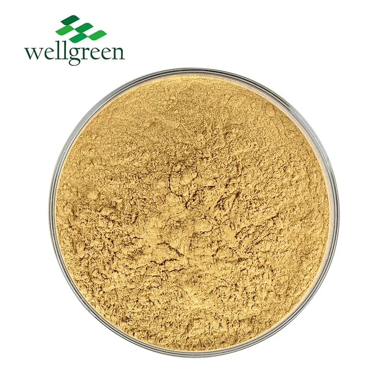 Improved Digestion Immunity 30%-60% Yucca Extract Herbal Extracts for Animal Feed