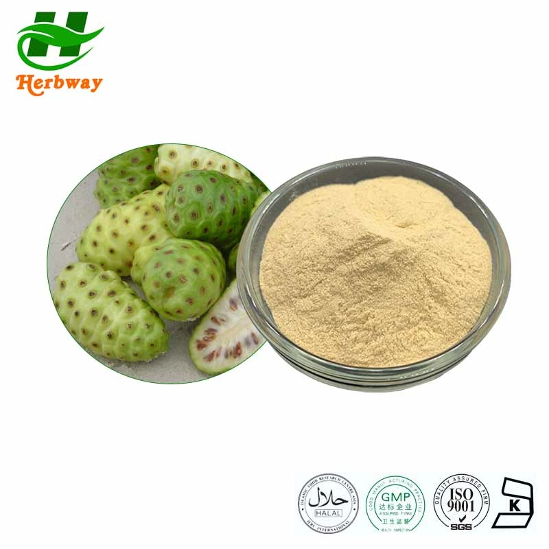 Herbway Kosher Halal Fssc HACCP Certified Natural Supplement Noni Fruit Extract Noni Powder Food Ingredient