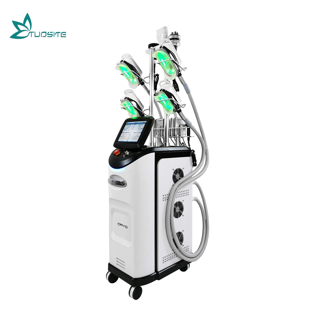 40K Ultrasonic excepto Cryoliposis Slimming Machine Vacuum Cavitation System grasa Congelación