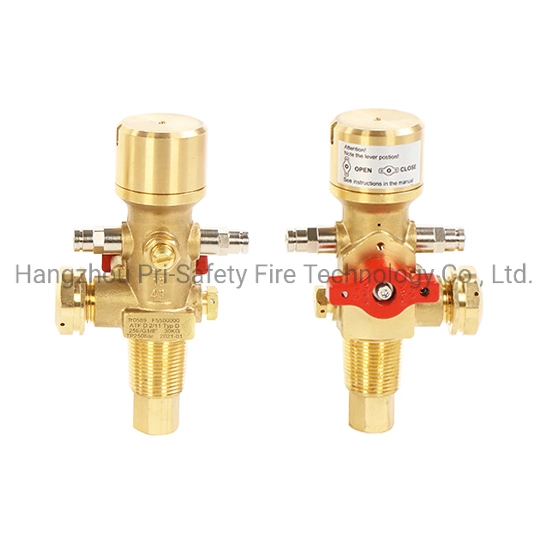 Dhp CO2 Valve for Egypt Market