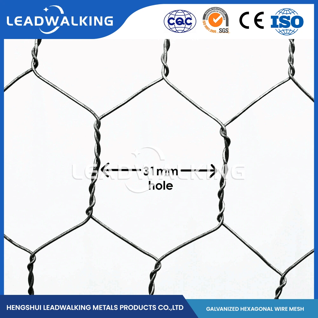 Leadwalking China 48 Inch Poultry Netting Manufacturers Mild Steel Wire 16mm Mesh Professional Galvanized PVC Coated Hexagonals Wire Mesh Cage for Poultry