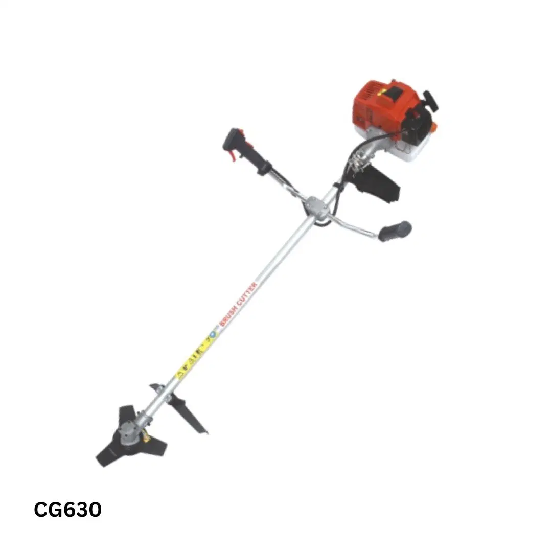 Aiqidi Brush Cutter Cg630b 3HP Garden Tools