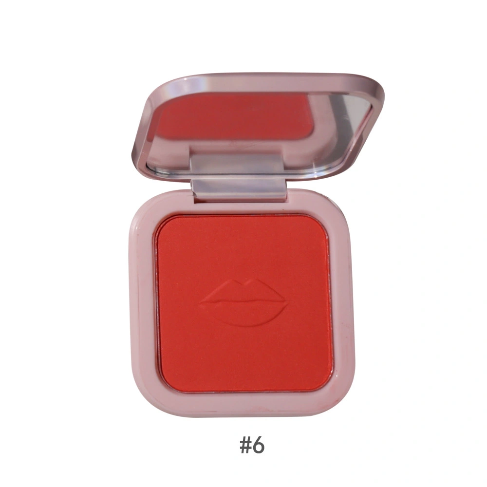 6 Colors Custom Logo Cosmetics Blusher Makeup for Face Eyes High Pigmented Single Blusher Powder Palette