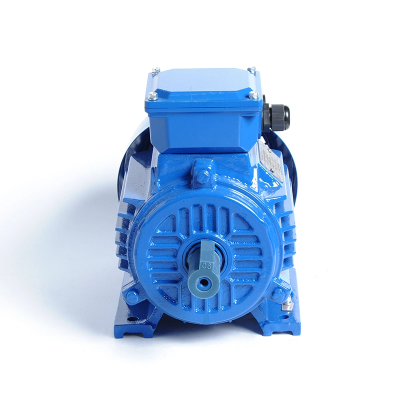 3 Phase Motor Speed Controller Three Phase Induction Motors Squiral Cage Cast Iron Induction Motor