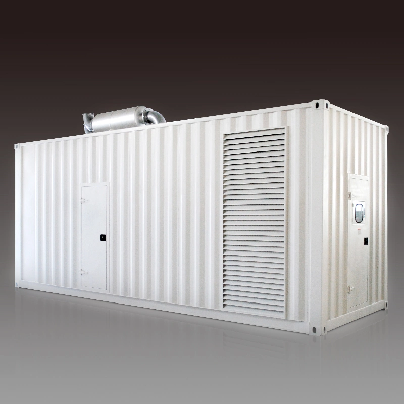 20" 40" or Non-Standard Size Container Type Diesel Generator Set