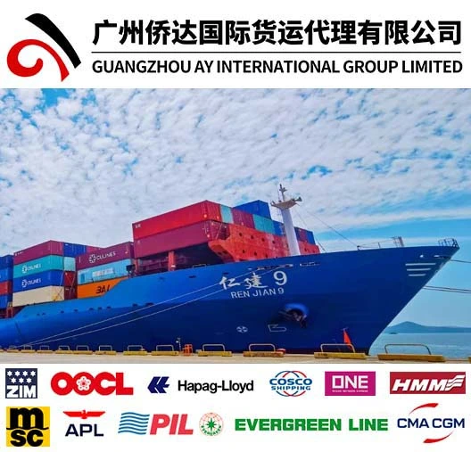 20'/40' FCL LCL Container Shipping From China to Jamaica (Kingston) by Sea