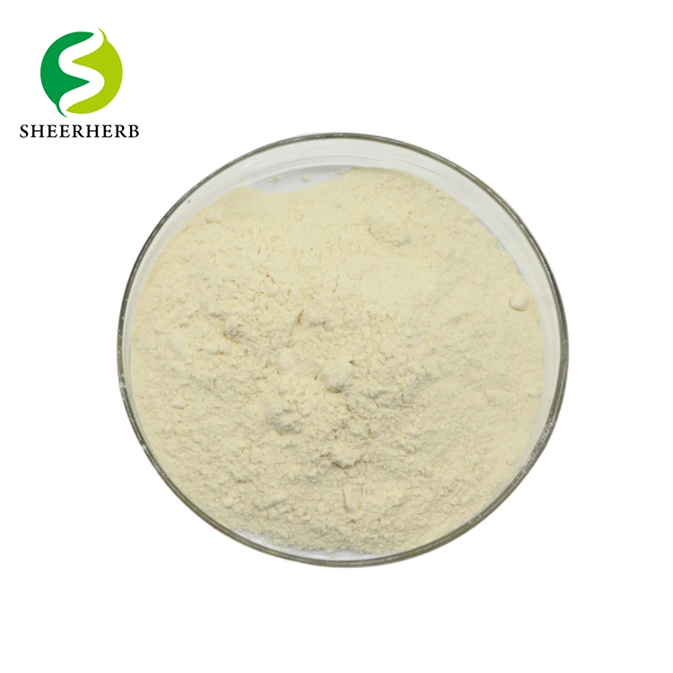 Hot Sale Food Emulsifiers Xanthan Gum Powder Premium Xanthan Gum