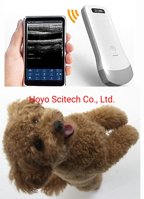 Animal Doppler Ultrasound Diagnostic Apparatus Portable Doppler Ultrasound